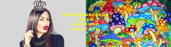 MDMA Сосновка